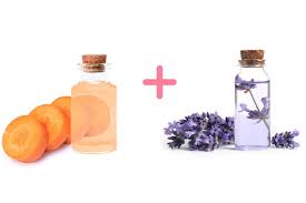 carrot and lavender oil